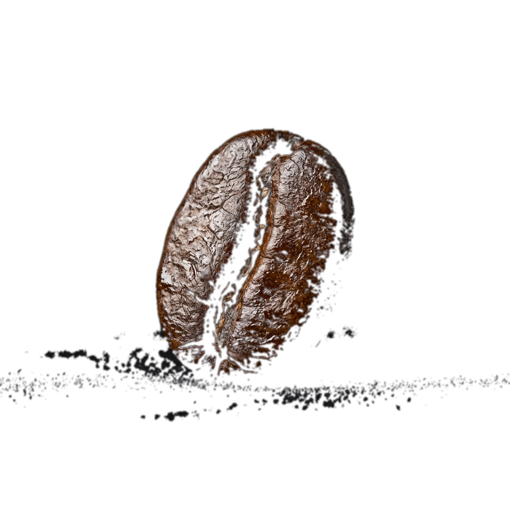 Bean